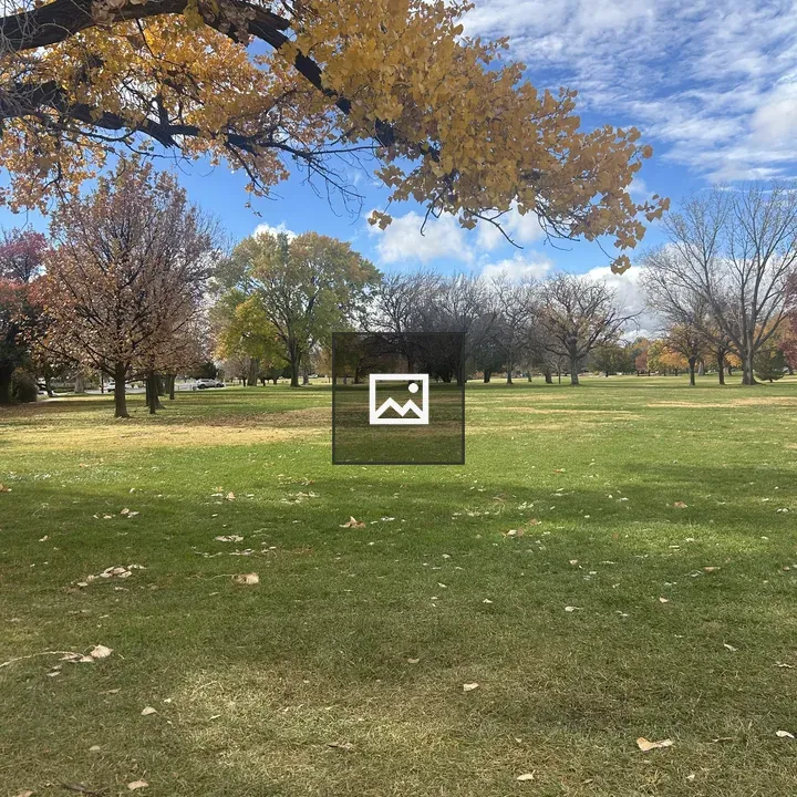 Autumn Trees in Park