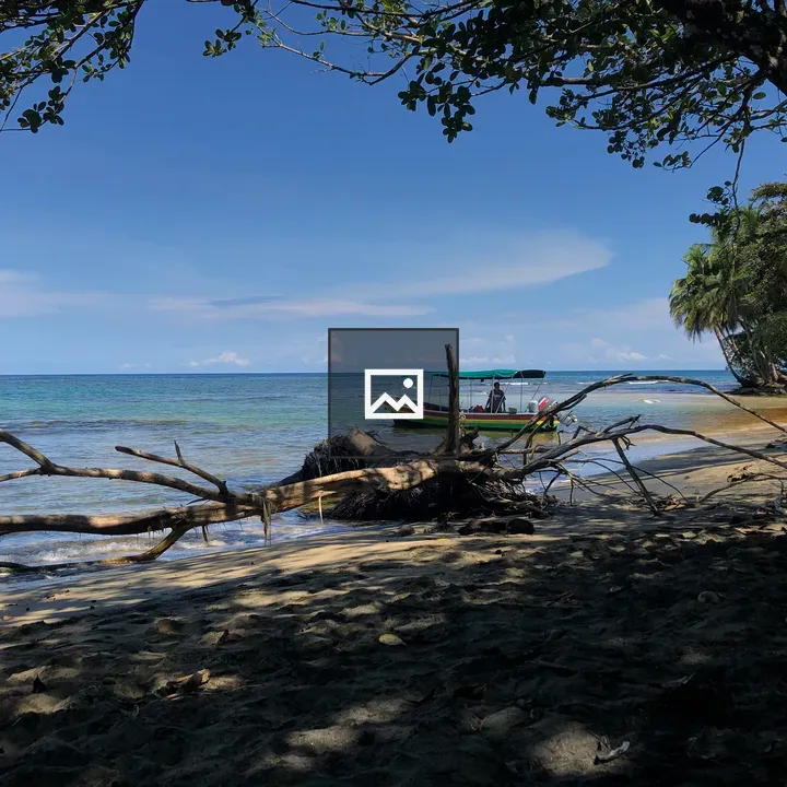 Boat with Green Canopy on Calm Beach