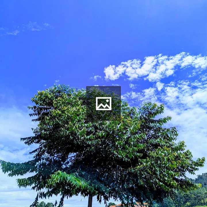 Green tree in open field