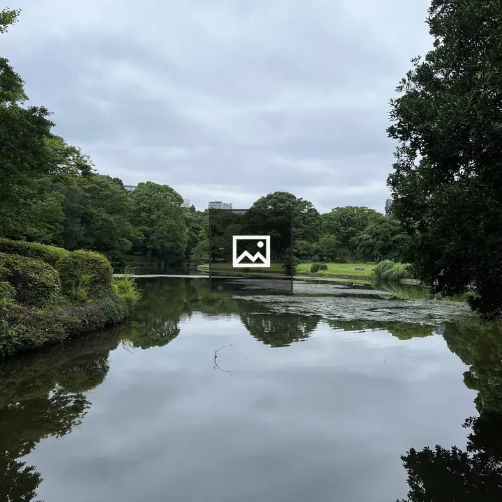 Pond Surrounded by Trees