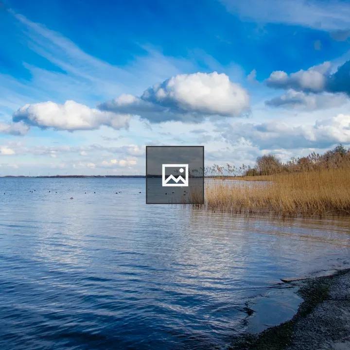Gooimeer Landscape in The Netherlands