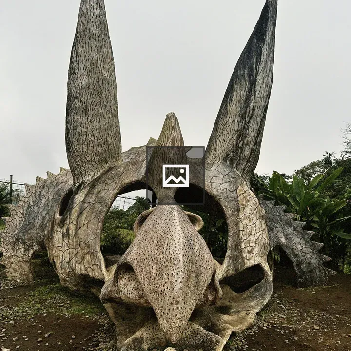 Dinosaur skull sculpture outdoors