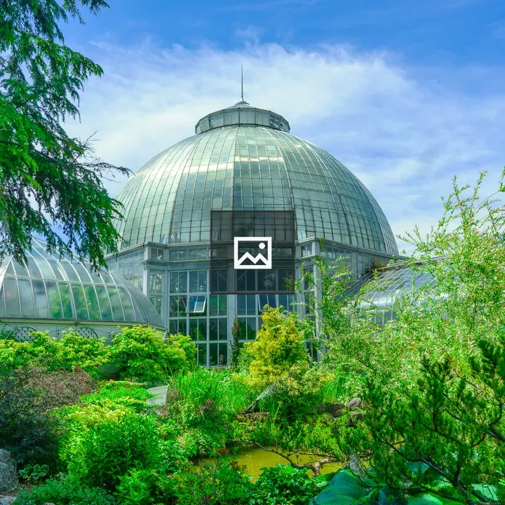Anna Scripps Whitcomb Conservatory