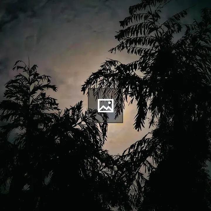 Moon Between Palm Leaves
