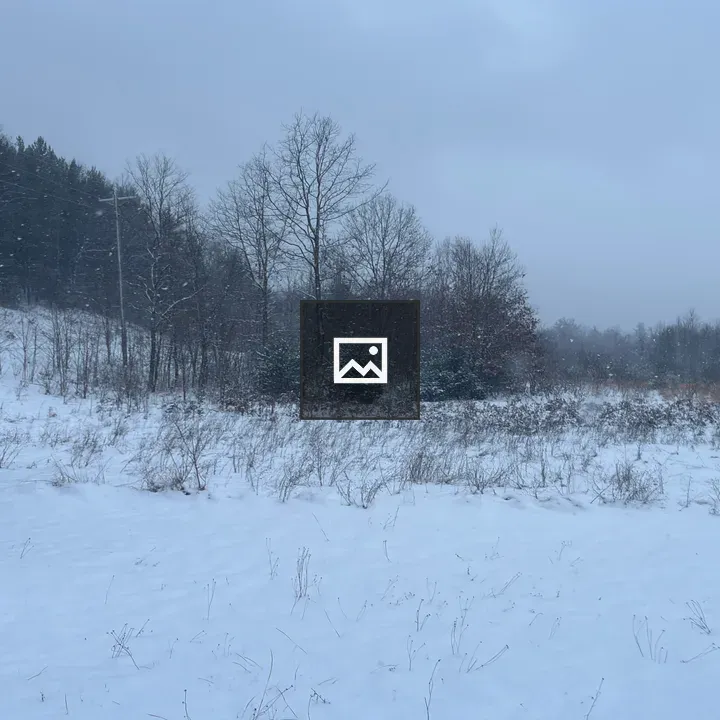 Winter field with snow and evergreen