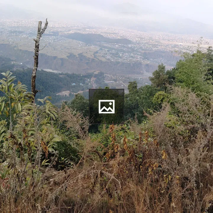 Hilly landscape panorama