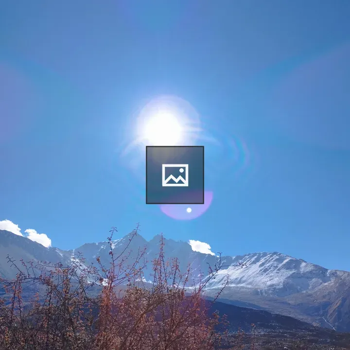 Snowy Mountains with Sunlit Branches