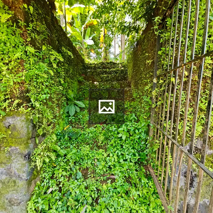 Stone Steps with Moss
