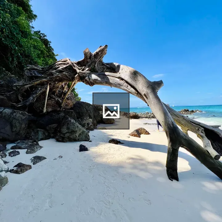 Driftwood on Beach with Turquoise Water