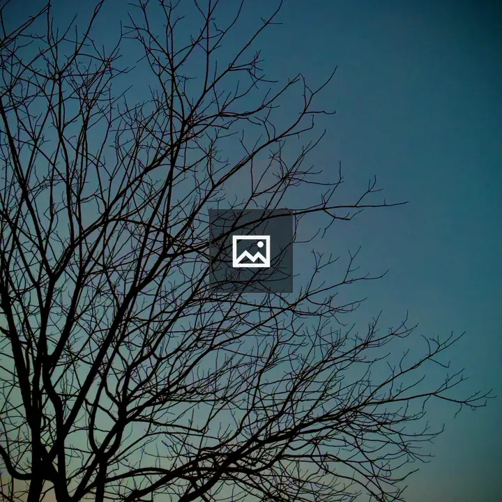 Silhouette of bare tree against dusk sky