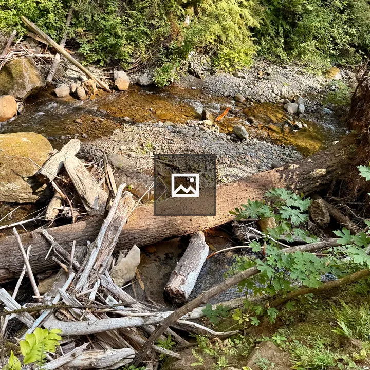 Fallen logs in a river scene