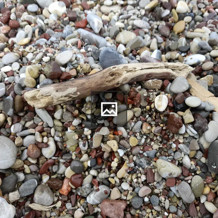 Piece of wood on the beach