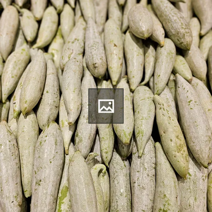 Light green bottle gourds