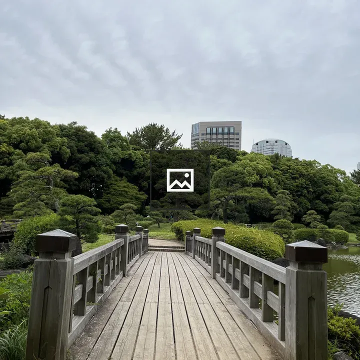 Wooden bridge over pond in park