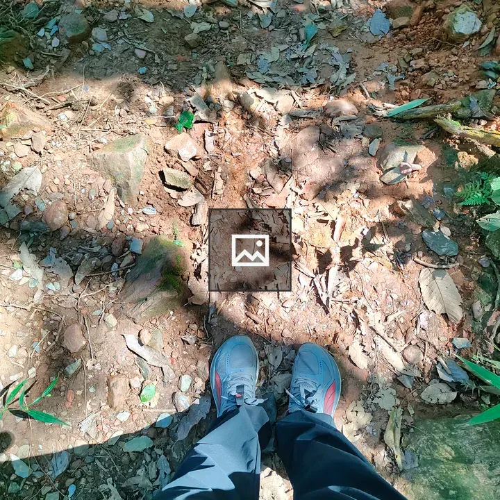 Feet in gray sports shoes on trail