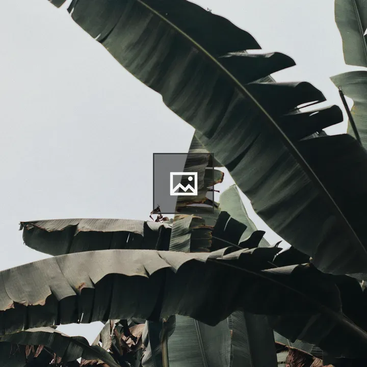 Banana Tree Portrait