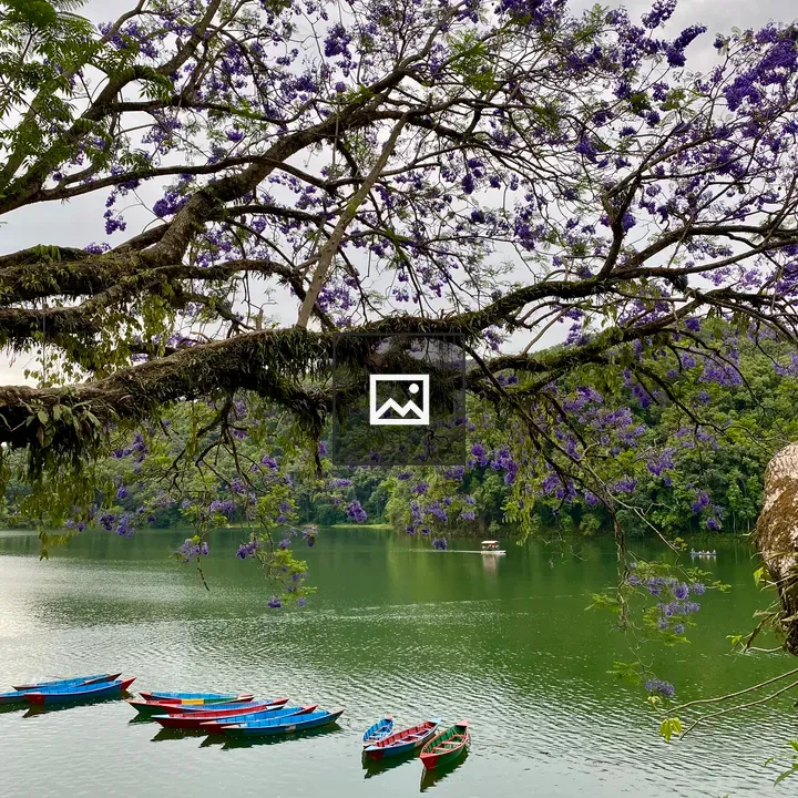 Lakeside reflection in green water