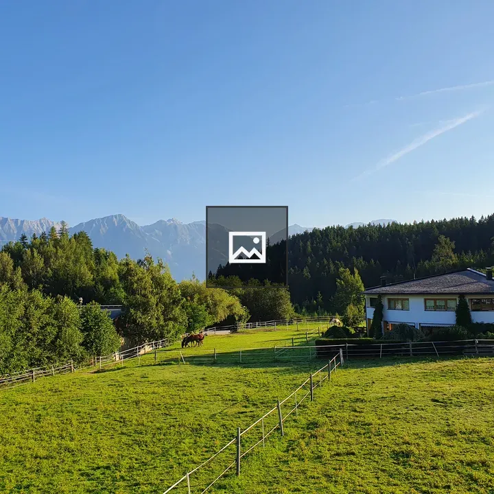 Green Grass and Mountains in Austria