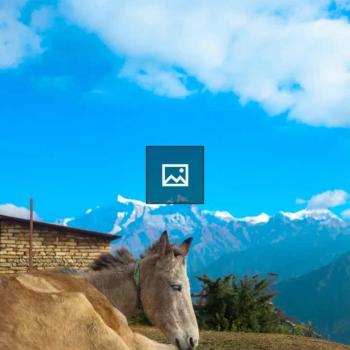 Mule resting on grassy hill