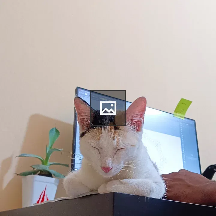 Cat on a Working Table