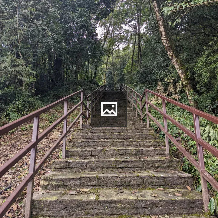 Stone Steps Through Forest