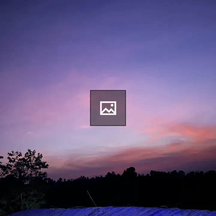 Sunset Sky Over a Forest