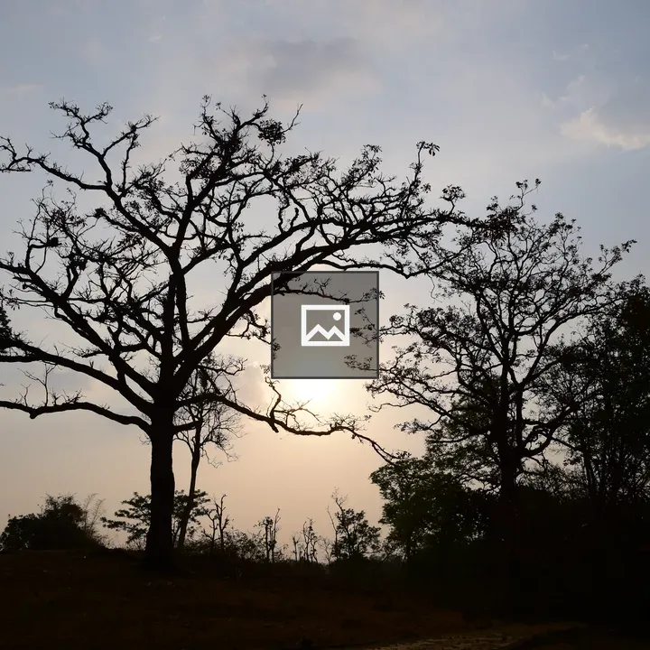 Evening over Kadkani Resort, Coorg
