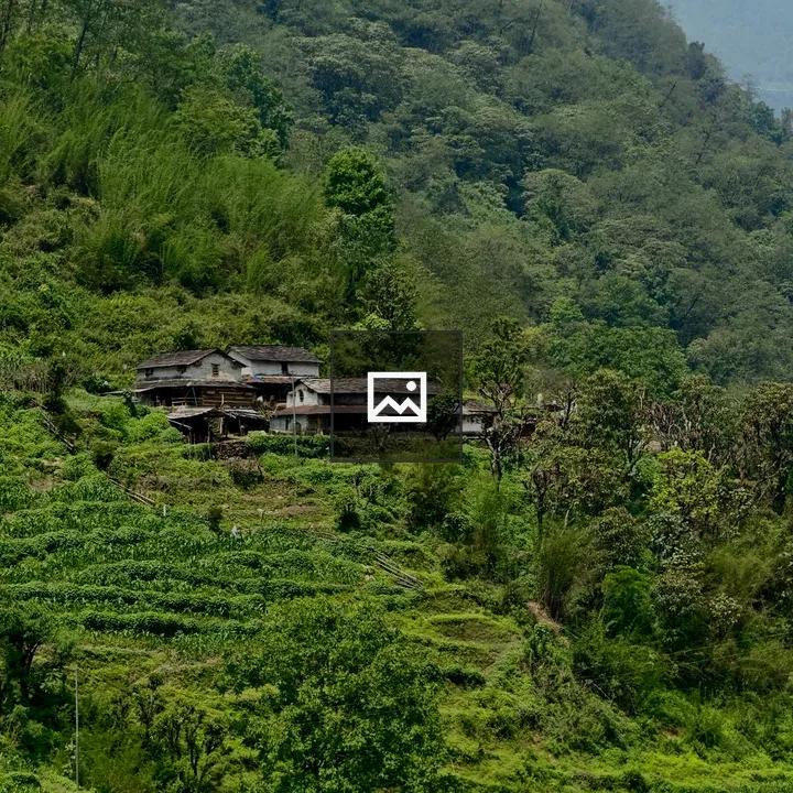 Village on Green Hillside
