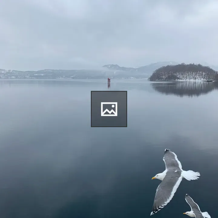 Two gulls over Lake Tōya