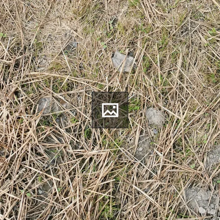 Ground dirt and straw
