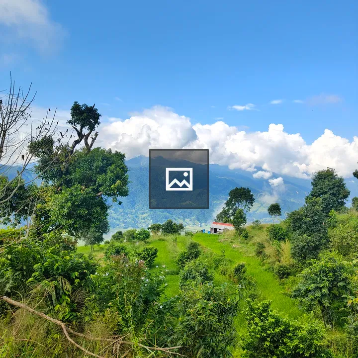 Lush green hills landscape