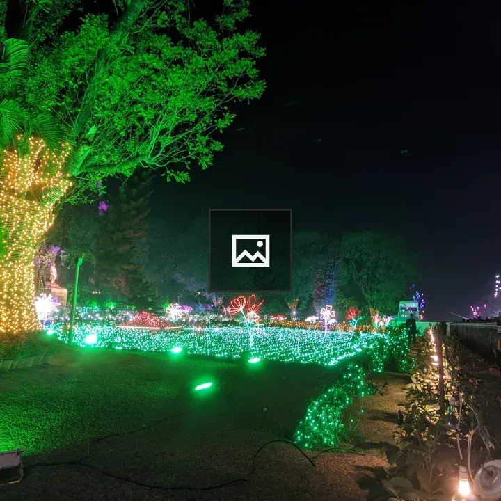 Founder's Day Lights in Jamshedpur