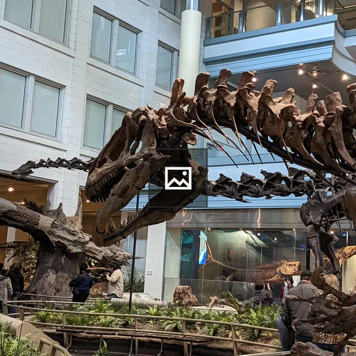Big dinosaur skeletons at Carnegie Museum