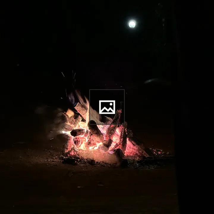 Campfire under Moonlit Night