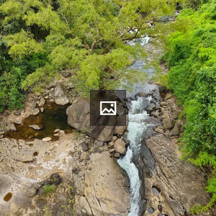Chalipuzha River at Thusharagiri Falls