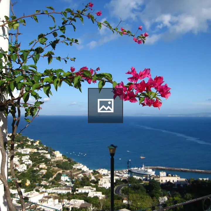Red Pink Flower Over Capri