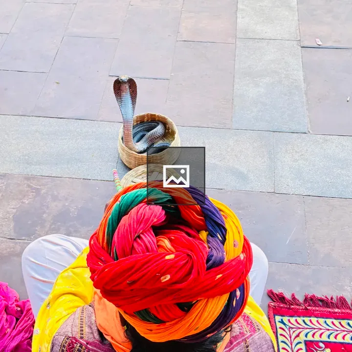 Person with Turban and Cobra Scene