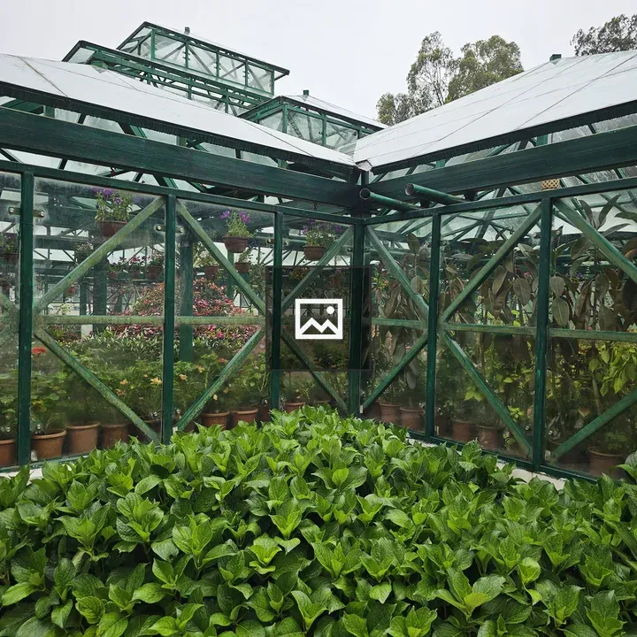 Greenhouse with Glass Panels