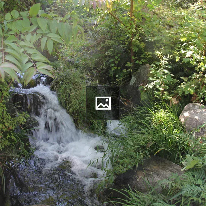 Small river