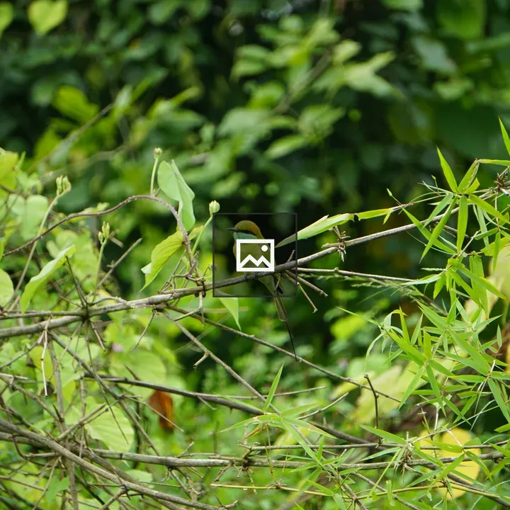 Bird on a bamboo tree