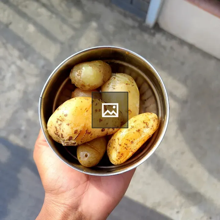 Hand holding bowl of potatoes