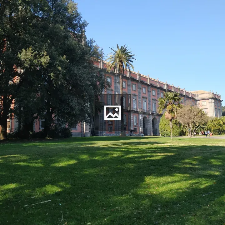 Palace of Capodimonte facade with garden