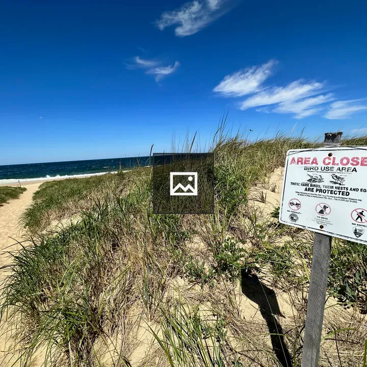 Beach Scene at Cape Cod with Warning Sign