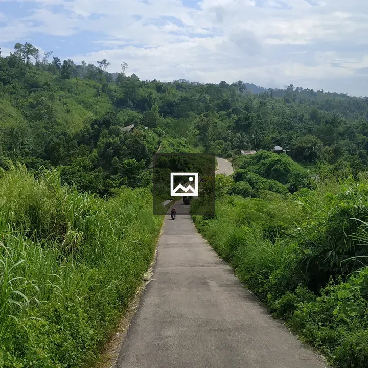 Shajek Road Nature View