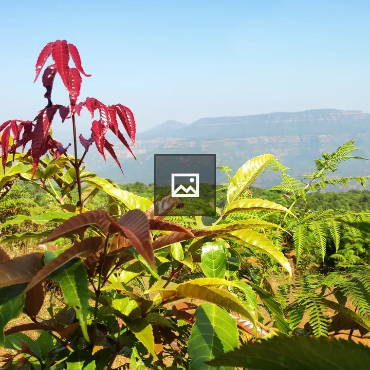 Parvat trek top view