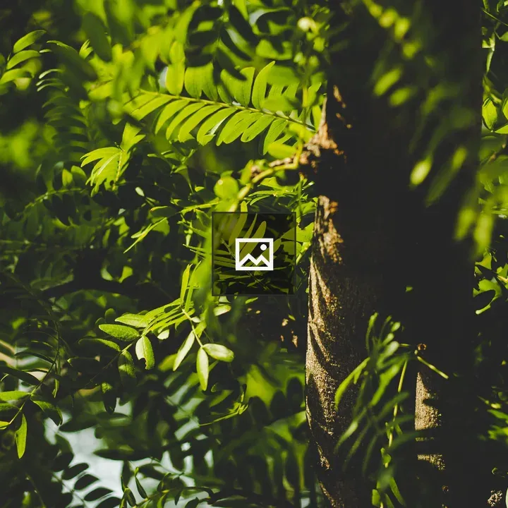 Tree in nature scene