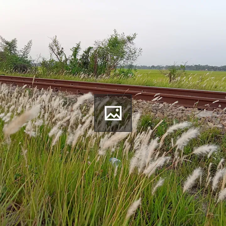 Railway Track in Green Field