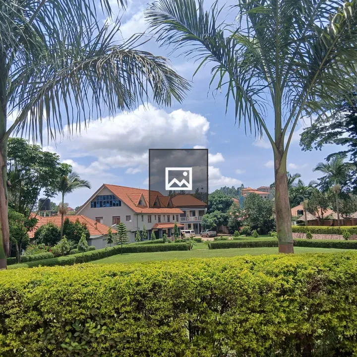 Landscaped Hedge and Palm Area