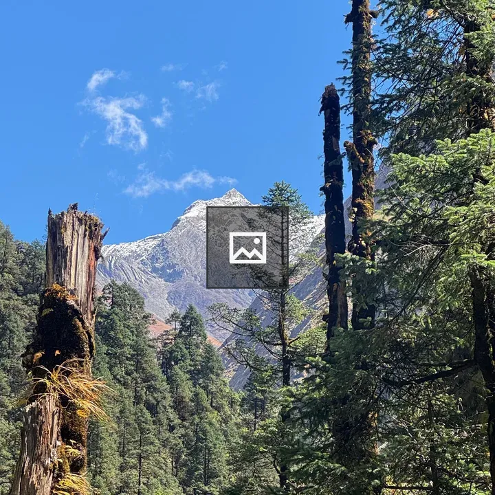 Snow-capped peak with evergreens