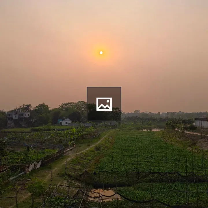 Rural field at sunset